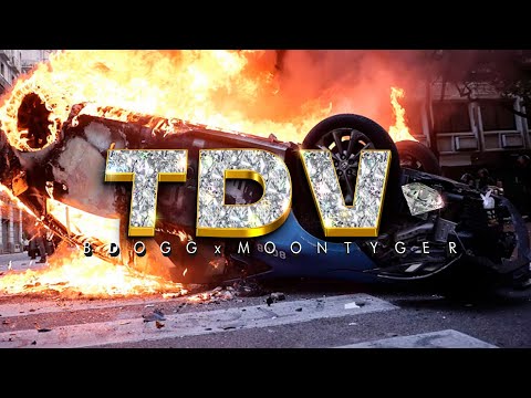 B DOGG and Moontyger