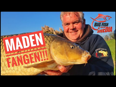 Einfach und erfolgreich: Feedern mit Maden – Gregor trifft den Profi