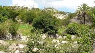 preview picture of video 'Almolonga,Tepexi De Rodriguez,Puebla (Agua Que Brota De Las Rocas)'