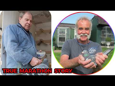 Die Könige des Marathon-Brieftaubensports: Geheimnisse von Wim Müller, Mathieu Cox und Toon Smeets