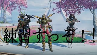 【Apex Legends】カスタムに向けて練習をたしなむ