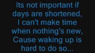Heart Attack with Lyrics by Sum41