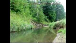 preview picture of video 'Fly Fishing a Wisconsin spring creek'