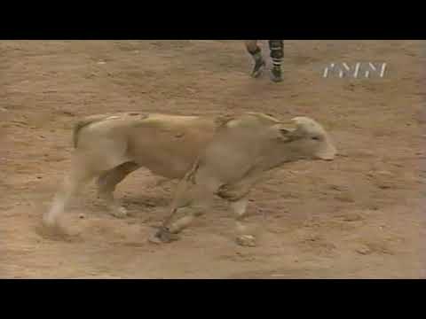 Tony Mendes vs Limited Edition - 99 PBR Finals (87.5 pts)