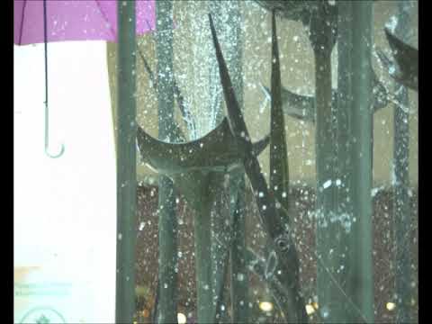 Fountain of Abundance - Clip #18 - West Acres Mall - Fargo ND