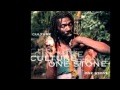 CULTURE - Down in Babylon (One Stone)