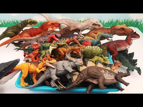 ONLY Jurassic World Dinosaurs BOX! T-Rex, Indominus, Stegosaurus