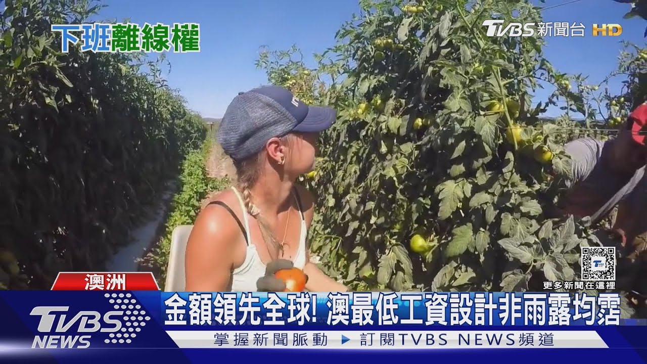 赴澳工作為何香?　最低工資海放全球　「離線權」下班免oncall台灣能仿效？