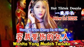 Download lagu 容易受伤的女人 Rong Yi Shou Shang De Ni Ren... mp3