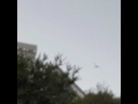 Patricia Taxxon - Blush [Title Track]