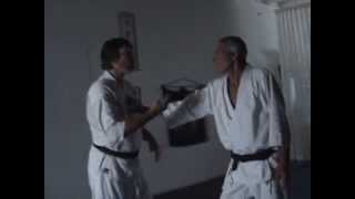 Aiki-Lab:  Dynamics of beneficent intention