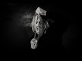 Taken By Storm - One of Them (OFFICIAL VIDEO ...