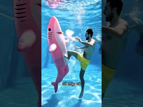 Bắt cá mập trong hồ bơi 😂