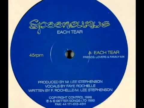 Spooncurve-Each Tear {friends, lovers and family remix}