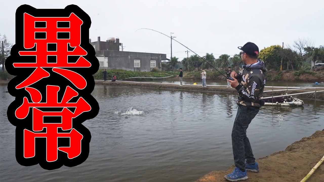 バス、シーバス、チヌ、ナマズ、テラピア、一つの池に全部居た理由が…。