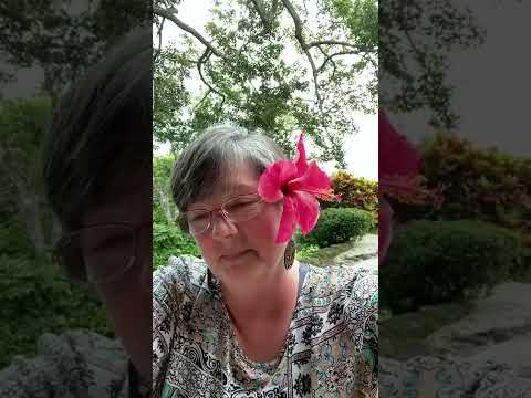 Debbie — Costa Rica Revival Retreat