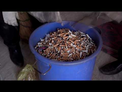 How are Cigarette buds recycled and reused in India?