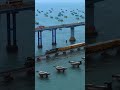 इतिहास का रूह कंपा देने वाला हादसा Pamban Br