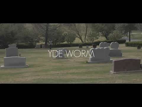 Try so Hard .... Yd3 Worm 🐛