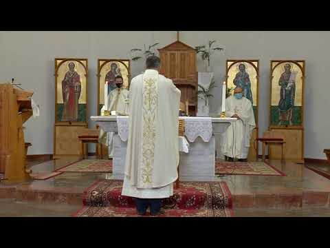 Videó előnézet