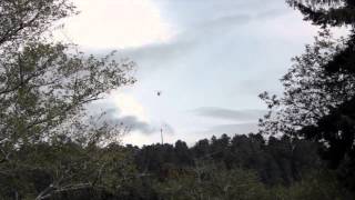 Lightning Fire in the Redwoods