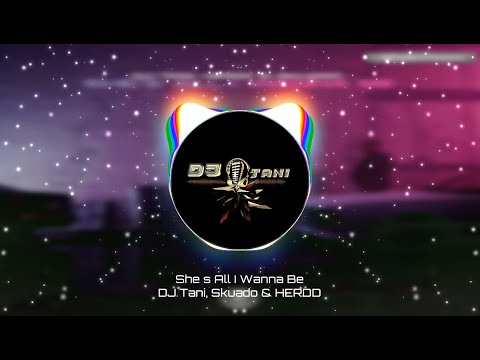 DJ Tani, Skuado & HERDD - She´s All I Wanna Be [Official Visualizer]