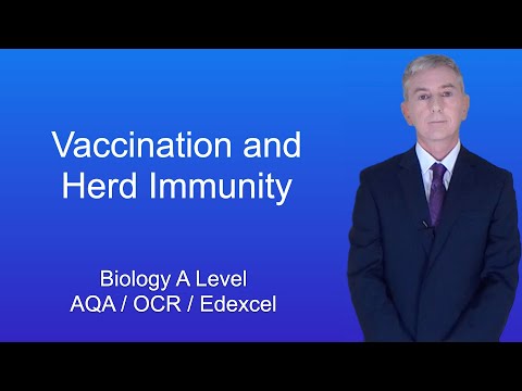 A Level Biology Revision "Vaccination and Herd Immunity"