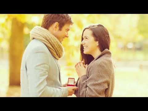 las palabras perfectas