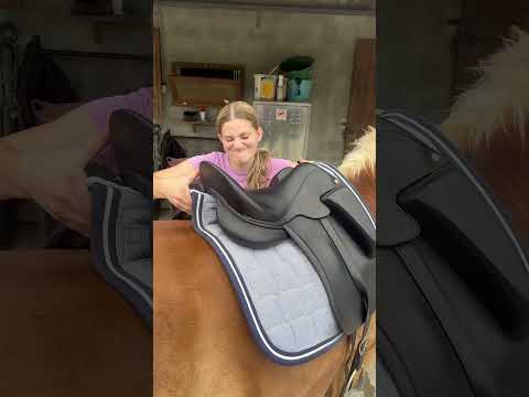 En même temps, il faut être logique 😒 #cavalier #cavaliere #cheval #equitation #horse