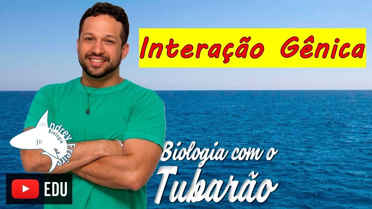 Interação gênica - Genética - Biologia com o Tubarão