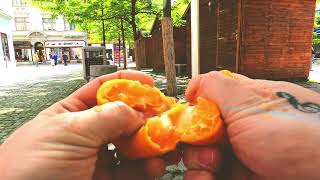 LEČO - Mandarinka z Kuřího RYNKA (video)