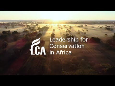 One of Africa’s greatest wildlife restoration story | Gorongosa National Park