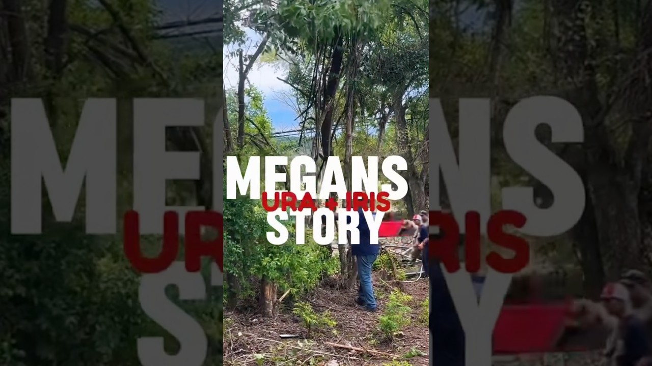 Megan IRIS Global Volunteer Impact Story