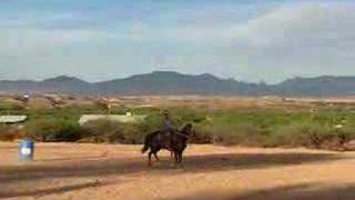 Sassy Mae right lope