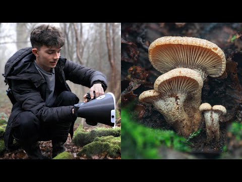 Can You Do Macro Photography In The Winter?