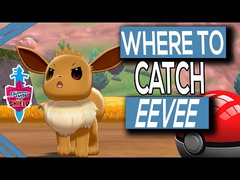 Where To Find Eevee In Pokemon Sword & Shield