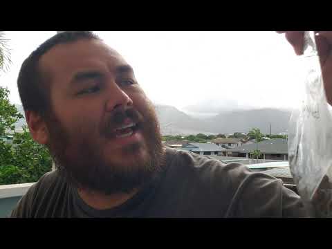 A Review[s] | Rattray's Black Virginia & G.L Pease Smaugweed [NASPC Edition]