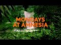 Cocoon Ibiza Official Trailer Part II July 2013