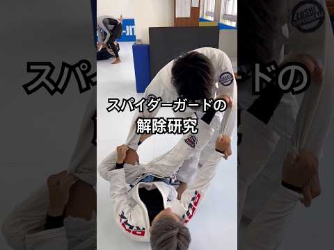 ［柔術テクニック］スパイダーガードの解除研究 #ブラジリアン柔術 #柔術 #jiujitsu #bjj#格闘技