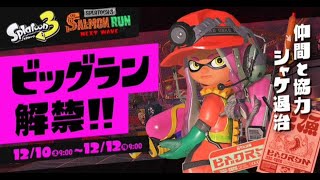 【スプラトゥーン3】参加OK！ビッグランいってみよー！