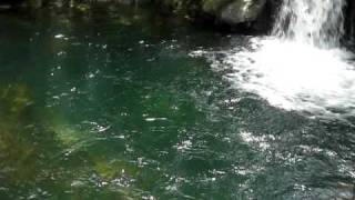 preview picture of video 'Tatoy Falls, kilikilihan, catanduanes'