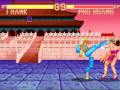 Super Fighter Game Sample PC