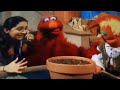 Jack Grows His Own Beanstalk Fullscreen