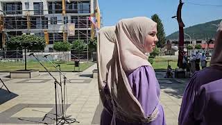 Obraćanje glavnog imama MIZ-e Žepče, Džafer-ef. Gračića povodom 29. godišnjice srebreničkog genocida