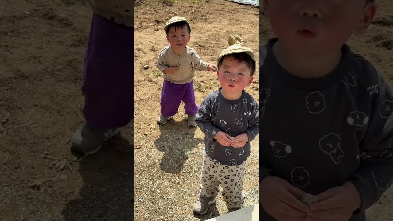 双子の日常 ライブ配信 2026.3.29