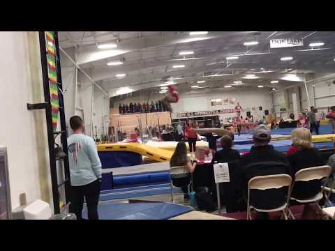 Marissa Bogden Vault 2020-Dragon Invitational-9.500