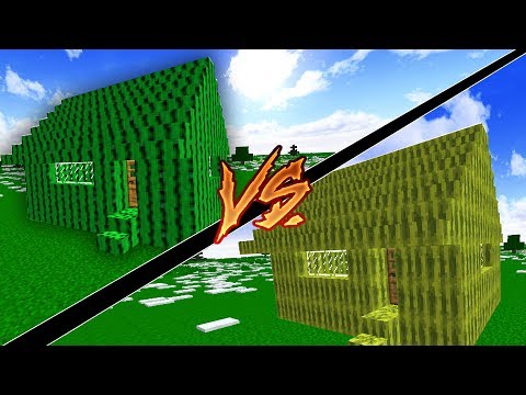KAKTÜS EV VS KARPUZ EV (Minecraft)