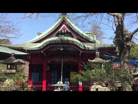 About Inokashira Park