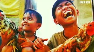 Download lagu Video lucu lawak bali : Mie goreng mp3