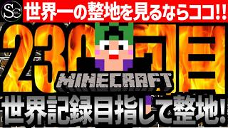 【🔴Minecraft】目指せ世界記録！整地ノルマ達成するまで今夜も眠れない‼️～230回目～